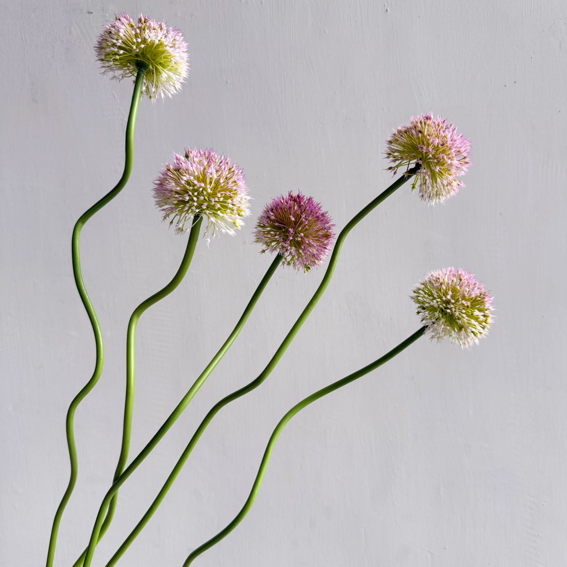 Baby Nursery Decor Ideas - 5 Peças de Flores Plásticas Artificiais