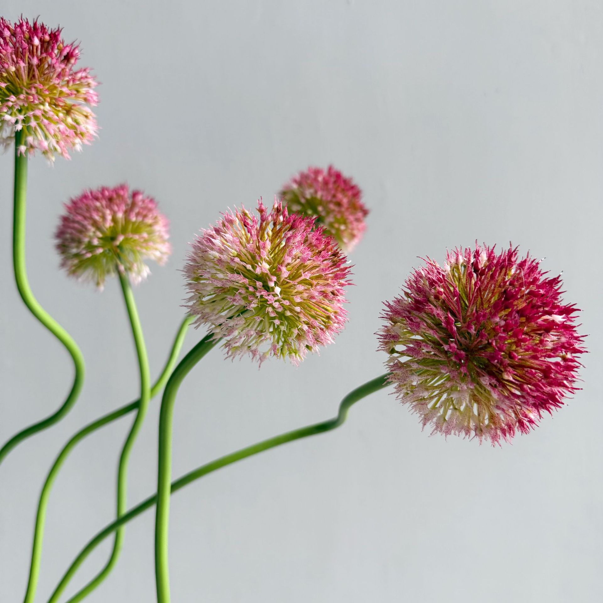 5 Peças de Flores Plásticas Ar - Baby Nursery Decor Ideas avaliação e preço
