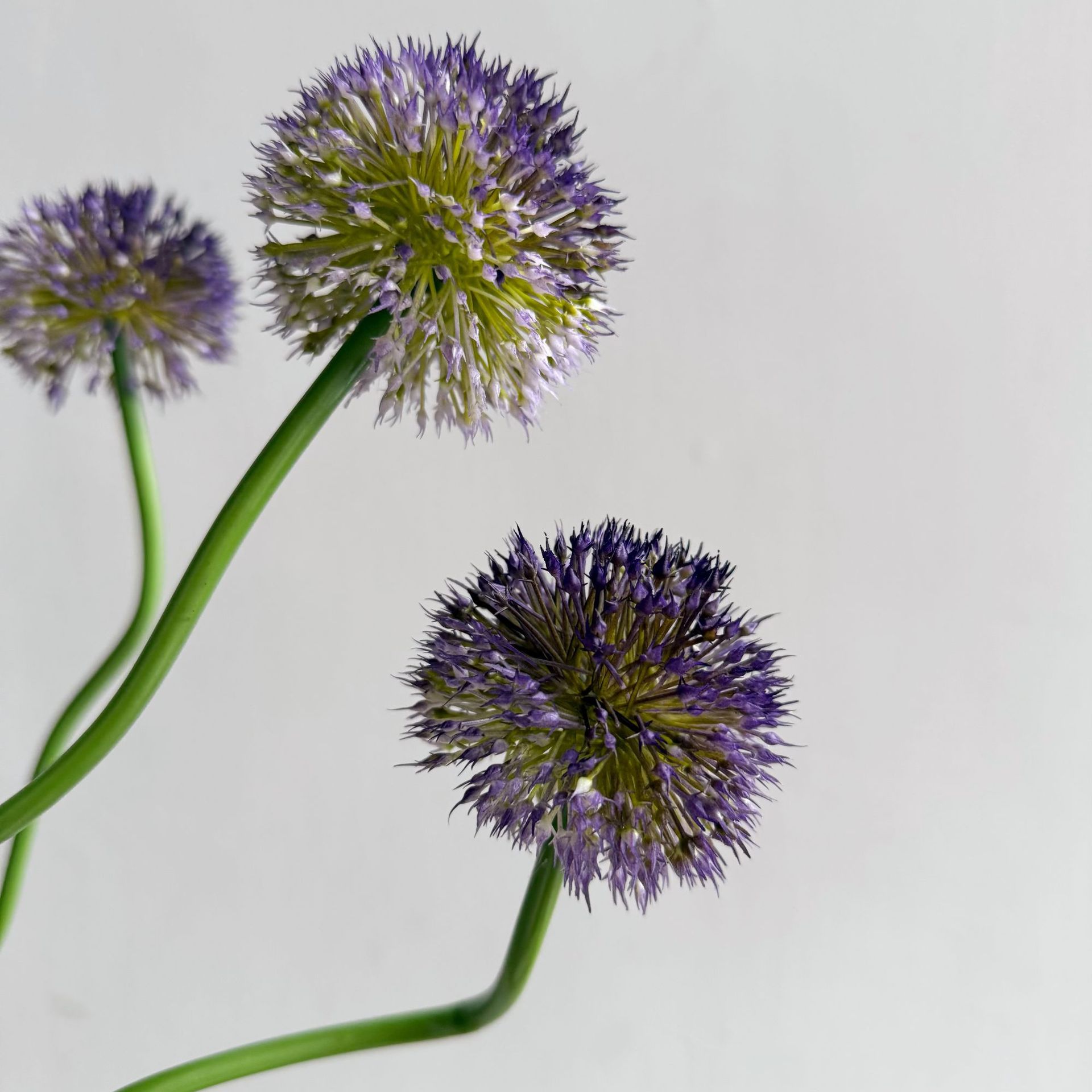 5 Peças de Flores Plásticas Ar - Baby Nursery Decor Ideas avaliação e preço